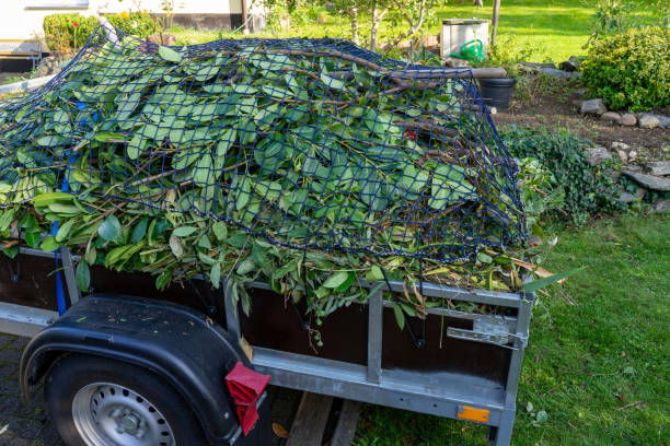 Best Shed Removal  in Gibsonton, FL